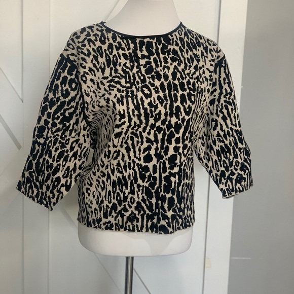 Ann Taylor leopard print sweater - Picture 4 of 13